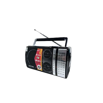Radio LT-LW 10 Portabil cu boxa puternica Radio LT-LW 10 Portabil cu boxa puternica
