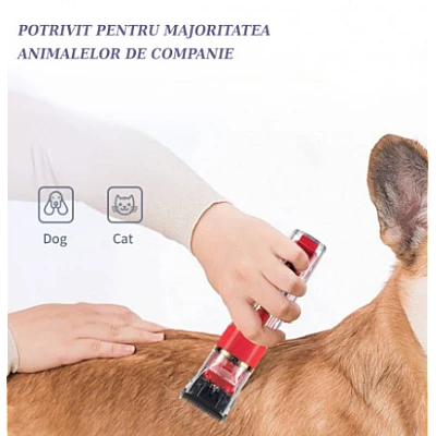 Masina de tuns electrica pentru animale Q LF880 cu 3 viteze lama ceramica Masina de tuns electrica pentru animale Q LF880 cu 3 viteze lama ceramica
