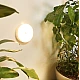 Mini Lampa led cu senzor de miscare si de lumina Andowl Q Led50 Mini Lampa led cu senzor de miscare si de lumina Andowl Q Led50