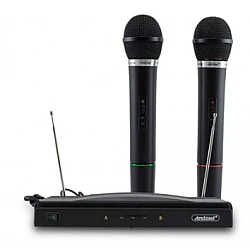Set 2 microfoane wireless karaoke MIC590
