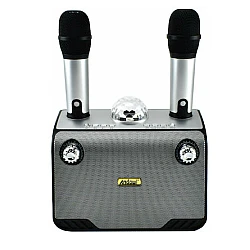 Dispozitiv Karaoke Disco Q YX899 putere 15W cu 2 microfoane wireles