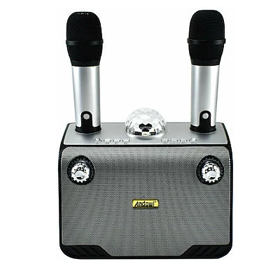 Dispozitiv Karaoke Disco Q YX899 putere 15W cu 2 microfoane wireles Dispozitiv Karaoke Disco Q YX899 putere 15W cu 2 microfoane wireles