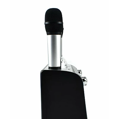 Dispozitiv Karaoke Disco Q YX899 putere 15W cu 2 microfoane wireles Dispozitiv Karaoke Disco Q YX899 putere 15W cu 2 microfoane wireles