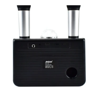 Dispozitiv Karaoke Disco Q YX899 putere 15W cu 2 microfoane wireles Dispozitiv Karaoke Disco Q YX899 putere 15W cu 2 microfoane wireles