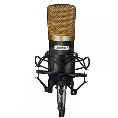 Microfon profesional Andowl Q Mic3 pentru inregistrari Microfon profesional Andowl Q Mic3 pentru inregistrari
