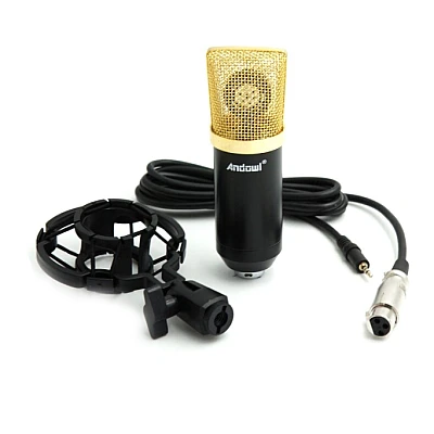 Microfon profesional Andowl Q Mic3 pentru inregistrari Microfon profesional Andowl Q Mic3 pentru inregistrari