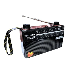 Radio portabil Rotosonic Solar FP 712 cu Panou Solar