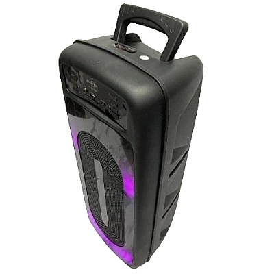 Boxa Portabila 6.5" GTS-1556 cu Microfon