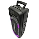Boxa Portabila 6.5" GTS-1556 cu Microfon
