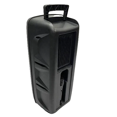 Boxa Portabila 6.5" GTS-1556 cu Microfon