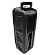 Boxa Portabila 6.5" GTS-1556 cu Microfon