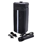 Boxa Portabila Karaoke ZQS-4242 USB Bluetooth Radio FM cu Microfon