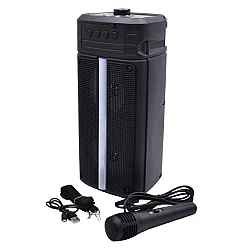 Boxa Portabila Karaoke ZQS-4242 USB Bluetooth Radio FM cu Microfon