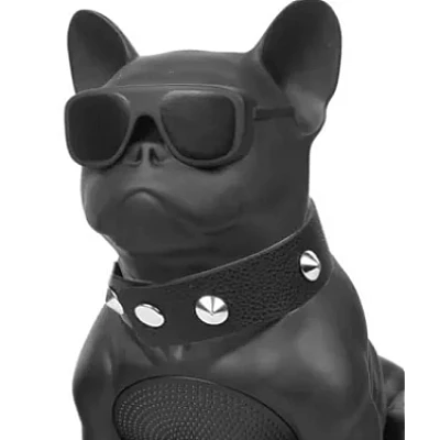 Boxa Portabila Bulldog NEGRU Cu Bluetooth CH M11M Cititor USB Card Radio si microfon Boxa Portabila Bulldog NEGRU Cu Bluetooth CH M11M Cititor USB Card Radio si microfon