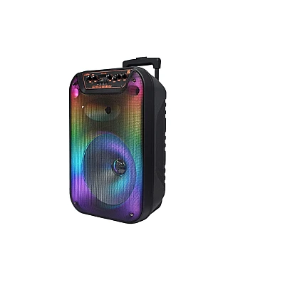 Boxa portabila cu Bluetooth GTS 1596 de 12 inch Boxa portabila cu Bluetooth GTS 1596 de 12 inch