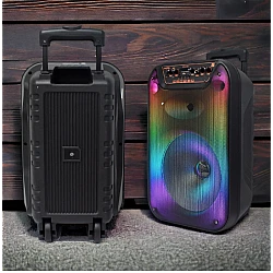 Boxa portabila cu Bluetooth GTS 1596 de 12 inch