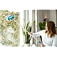 Perie MultiScrubber 2 in 1 pentru spalare si lustruire Perie MultiScrubber 2 in 1 pentru spalare si lustruire