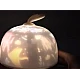 Lampa de veghe proiector rotativ cu urechiuse Star Light Lampa de veghe proiector rotativ cu urechiuse Star Light