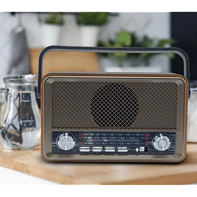Radio portabil FM stil Retro Q-SY500 Bluetooth USB AUX TF Radio portabil FM stil Retro Q-SY500 Bluetooth USB AUX TF