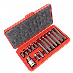 Trusa profesionala de scule 15 piese Biti Torx H10