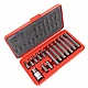Trusa profesionala de scule 15 piese Biti Torx H10 Trusa profesionala de scule 15 piese Biti Torx H10