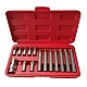 Trusa profesionala de scule 15 piese Biti Torx H10 Trusa profesionala de scule 15 piese Biti Torx H10
