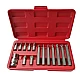 Trusa profesionala de scule 15 piese Biti Torx H10 Trusa profesionala de scule 15 piese Biti Torx H10