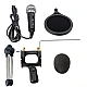 Microfon Profesional de inregistrare vocala si Karaoke pentru Studio WG 500II Microfon Profesional de inregistrare vocala si Karaoke pentru Studio WG 500II