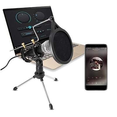 Microfon Profesional de inregistrare vocala si Karaoke pentru Studio WG 500II Microfon Profesional de inregistrare vocala si Karaoke pentru Studio WG 500II