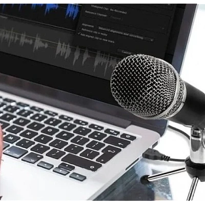 Microfon Profesional de inregistrare vocala si Karaoke pentru Studio WG 500II Microfon Profesional de inregistrare vocala si Karaoke pentru Studio WG 500II
