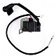 Aprindere electrica MX844 pentru motocoasa in 4 timpi GX35 Aprindere electrica MX844 pentru motocoasa in 4 timpi GX35
