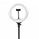 Lampa Ring Light 13 inch 3200k-5600k cu telecomanda Andowl Q L201 Lampa Ring Light 13 inch 3200k-5600k cu telecomanda Andowl Q L201