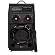 Set Boxe Profesionale KTA 284 cu Microfon Wireless Telecomanda si joc de lumini Set Boxe Profesionale KTA 284 cu Microfon Wireless Telecomanda si joc de lumini