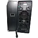Boxe Profesionale DJ Effect KTA 2304 cu Microfon Wireless Sistem Karaoke Boxe Profesionale DJ Effect KTA 2304 cu Microfon Wireless Sistem Karaoke
