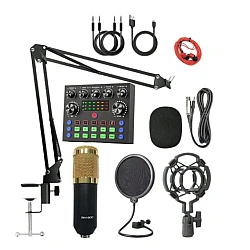 Microfon condensator podcast profesional cu placa de sunet Q SK8