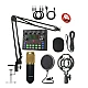 Microfon condensator podcast profesional cu placa de sunet Q SK8 Microfon condensator podcast profesional cu placa de sunet Q SK8