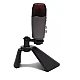 Microfon profesional pentru studio Q MIC995 Microfon profesional pentru studio Q MIC995