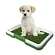 Litiera tip Tavita Toaleta pentru Animale de companie cu Gazon/Iarba Artificiala pentru Casa
