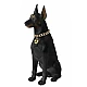 Boxa portabila wireless cu bluetooth si microfon tip doberman 10W CH M210M Boxa portabila wireless cu bluetooth si microfon tip doberman 10W CH M210M