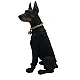 Boxa portabila wireless cu bluetooth si microfon tip doberman 10W CH M210M Boxa portabila wireless cu bluetooth si microfon tip doberman 10W CH M210M