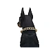 Boxa portabila wireless cu bluetooth si microfon tip doberman 10W CH M210M Boxa portabila wireless cu bluetooth si microfon tip doberman 10W CH M210M
