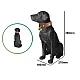 Boxa portabila wireless cu bluetooth si microfon tip labrador CH M211M Boxa portabila wireless cu bluetooth si microfon tip labrador CH M211M