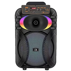 Boxa portabila cu bluetooth BT 1001 de 10 inch microfon led RGB