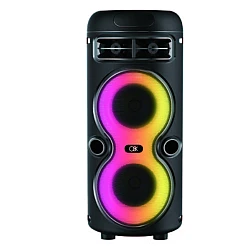 Boxa portabila cu microfon BT 2446 de 4 x 2 inch