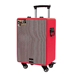Boxa mare portabila tip troller DP S1001 de 10 inch cu microfon si telecomanda