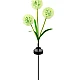 Set 2 Lampi solare decorative cu Flori de Papadie Set 2 Lampi solare decorative cu Flori de Papadie