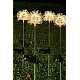 Set 2 Lampi solare LED decoratiune gradina SL137 Set 2 Lampi solare LED decoratiune gradina SL137