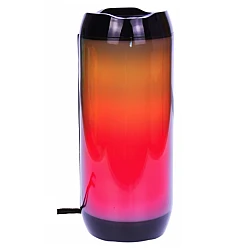 Boxa portabila TS100 reincarcabila LED Disco