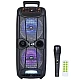 Boxa wireless KTS 1743 cu microfon telecomanda 8 x 2 inch