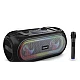 Boxa portabila bluetooth ZQS 4247 karaoke cu 2 microfoane Boxa portabila bluetooth ZQS 4247 karaoke cu 2 microfoane